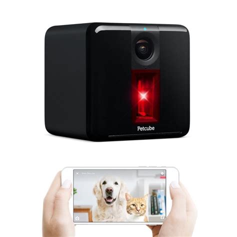 Petcube Play Pet Camera Review: Pros and Cons | Technobark