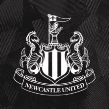 Newcastle United 2023 24 Collectibles Quidd