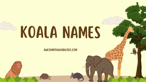 109+ Koala Names | Female, Cute, Famous And Funny Ideas