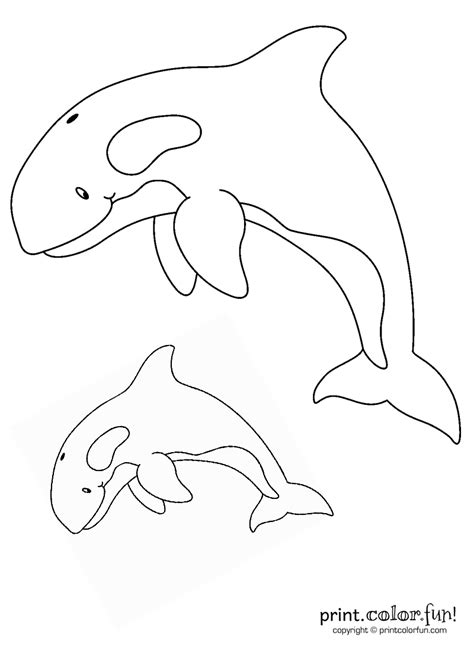 Orca Coloring Pages For Kids Coloring Pages