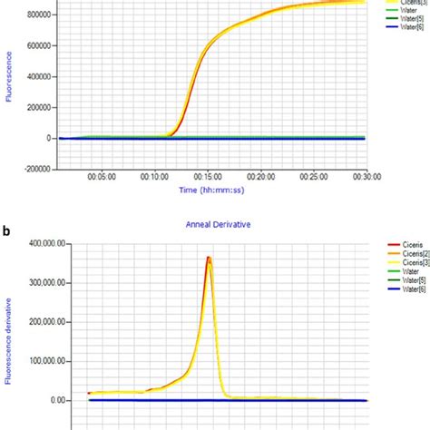 Optimised Lamp Assay Performed On Genomic Fusarium Oxysporum F Sp Download Scientific Diagram