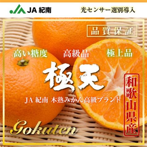 予約 1月1日必着 木熟みかん 極天 紀南木熟みかん 糖度13度 5kg ごく和歌山県 Ja紀南 お正月必着指定 お年賀 御年賀 冬ギフト