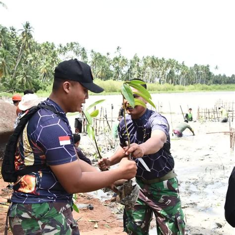 Prajurit Yonmarhanlan Xii Ikut Andil Dalam Kegiatan Penanaman Ribuan