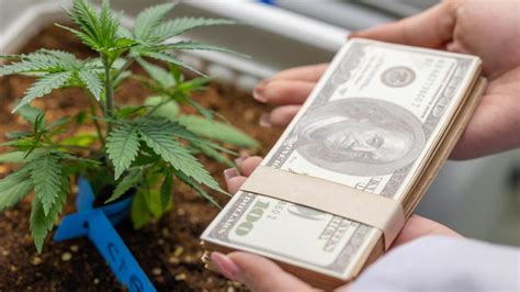 Qué efecto en la economía puede tener la legalización de la marihuana