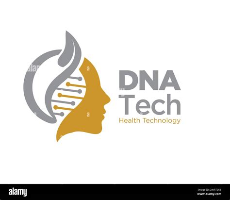 Dna Leaf Beauty Logo Designs For Medical Service Logo Stock Vector