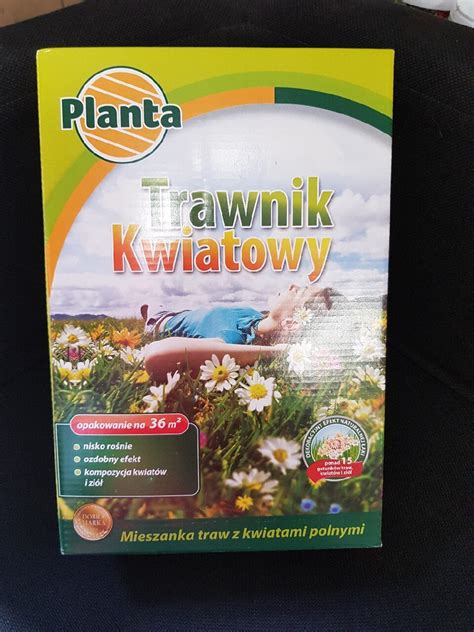 Trawnik Kwiatowy Kg Mieszanka Traw I Kwiat W Chrzan W Kup Teraz