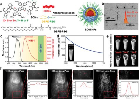 Nps Characterization And In Vivo Nir‐ii Imaging A Schematic