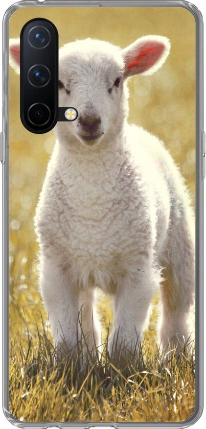 Oneplus Nord Ce G Hoesje Schaap Gras Zon Siliconen