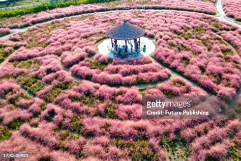 67 Lake Dianshan Stock Photos High Res Pictures And Images Getty Images