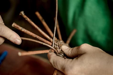 Un Brin De Nature L Osier Au Fil Des Saisons