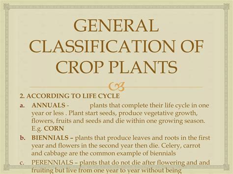 MAJOR CROPS OF THE PHILIPPINES AND THEIR GEOGRAPHIC.pptx