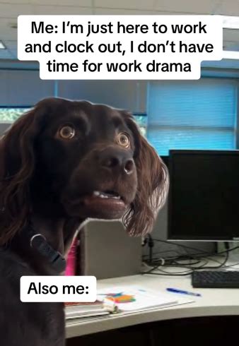 19 Mid Week Work Memes To Laugh At Before You Clock Out Funny Gallery