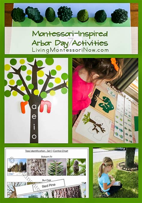 Montessori-Inspired Arbor Day Activities