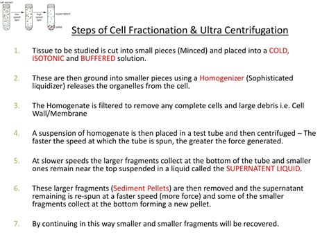 Ppt Cell Fractionation And Ultracentrifugation Powerpoint