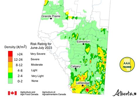 Southern Alta Faces Grasshopper Threat The Western Producer