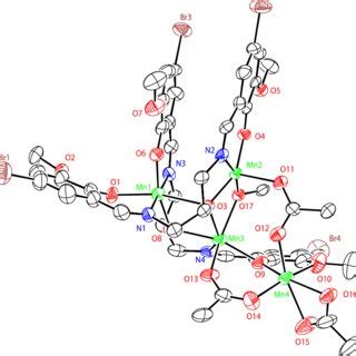 Ortep Oak Ridge Thermal Ellipsoid Plot Drawing Of The Molecular