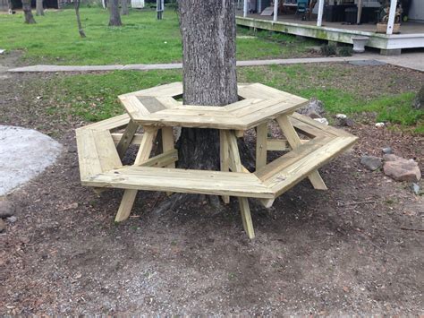 The Picnic Table Around A Tree I Built Today Bench Around Trees