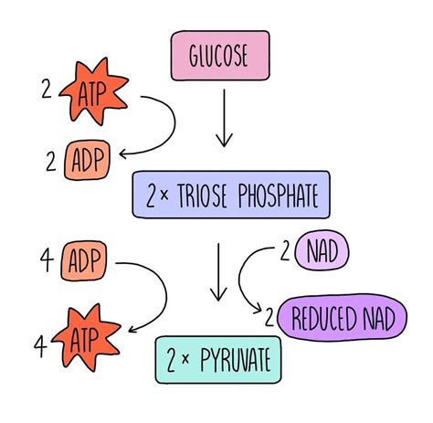 Respiration OCR — the science sauce