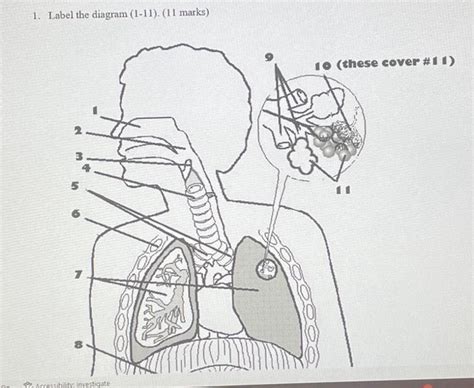 Solved 1 Label The Diagram 1 11 11 Marks 5 4 7 0