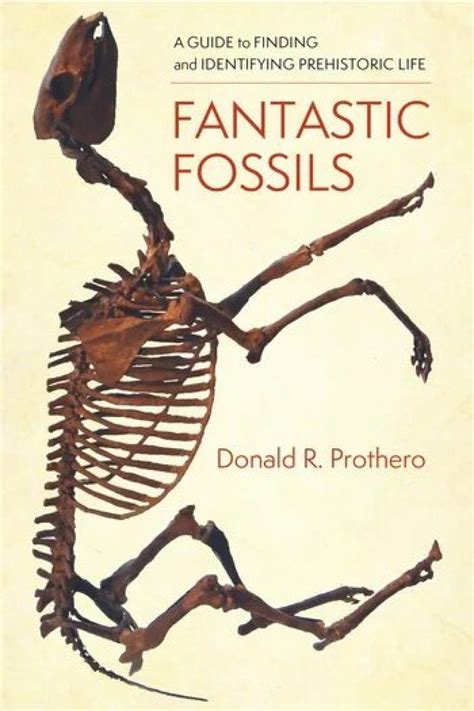 Fantastic Fossils A Guide To Finding And Identifying Prehistoric Life