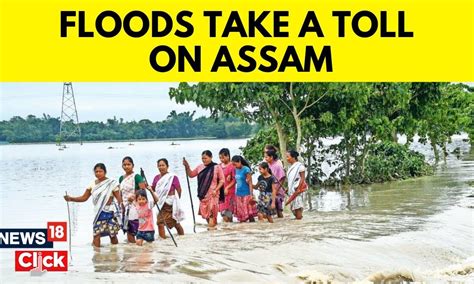 Assam Flood 2023 | Assam Is Reeling From Annual Floods | Assam Floods ...