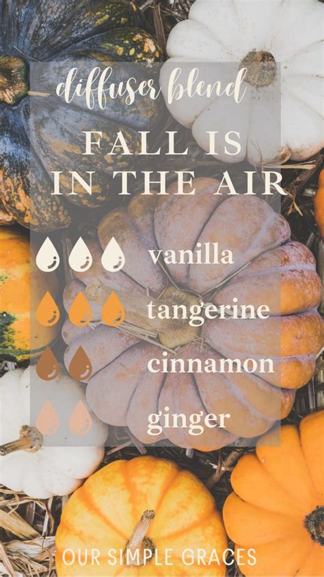 The Best Fall Diffuser Blends - Our Simple Graces