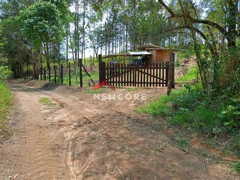 Lote em Pedra Bela Centro Pedra Bela SP Terrenos sítios e