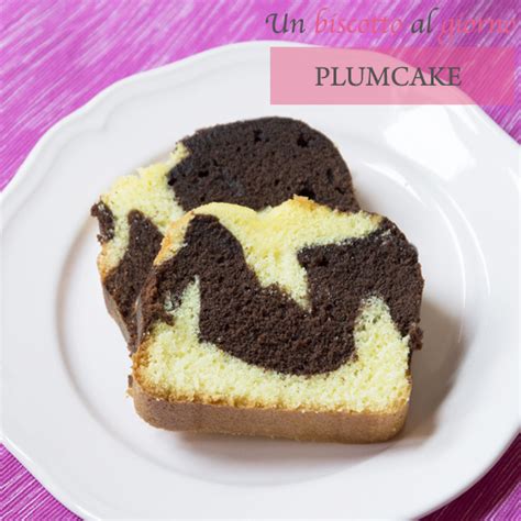 Plumcake Variegato Al Cacao Un Biscotto Al Giorno