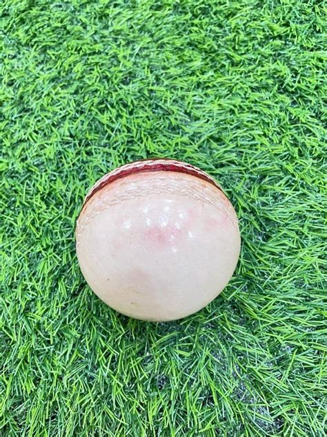 Cricket Leather Ball, 150 at Rs 150 in Meerut | ID: 2850393691648