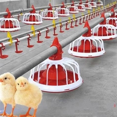 Poultry Auto Feeder Pan Broiler Feeding System Chicken Feeding Water