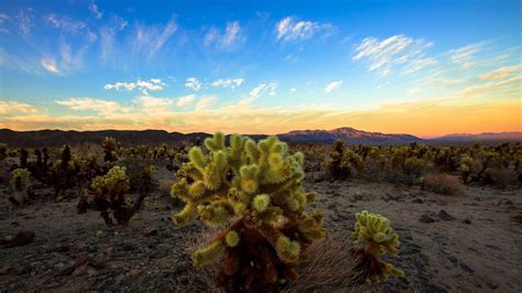 Desert Sunset Wallpapers - Top Free Desert Sunset Backgrounds ...