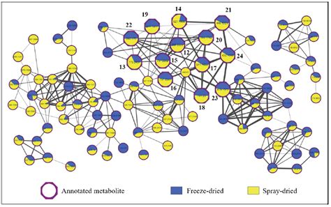 SciELO Brasil Preservation Of Phenolic Compounds On Dried Leaf