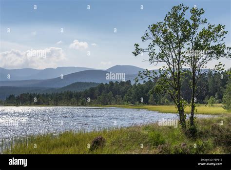 Loch Morlich near Aviemore Stock Photo - Alamy