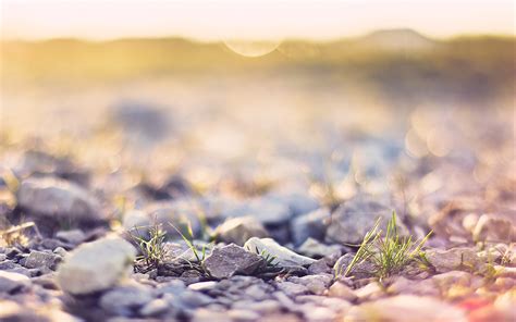 Wallpaper X Px Depth Of Field Macro Nature Rock X