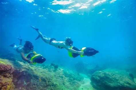 Puerto Vallarta Snorkeling The Best Places To Go Vallarta Adventures