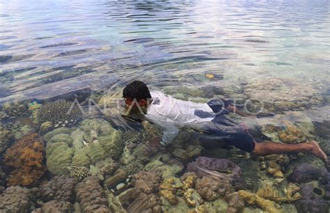 Mencari Ikan Menggunakan Alat Tradisional Di Pulau Bacan Antara Foto