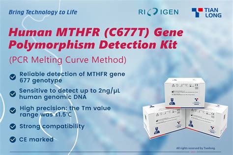 Ce Marked Human Mthfr Gene Polymorphism Detection Kit Shang Lin