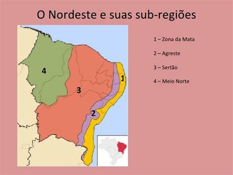 Zona Da Mata Nordeste - Região Nordeste Zona da Mata