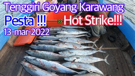 TRIP MANCING GOYANG KARAWANG SPOT TENGGIRI PINGGIRAN 21 EKOR