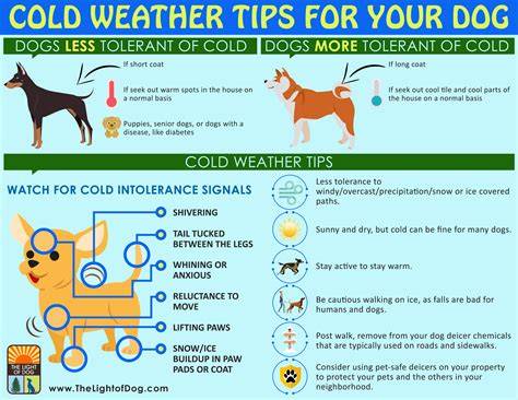 How Cold Is Too Cold For Lithium Batteries - Free Word Template