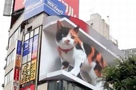 新宿に出現する巨大3D猫が海外でも話題に switch news