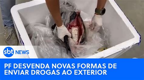 Traficantes usam até peixe congelado para enviar cocaína para o