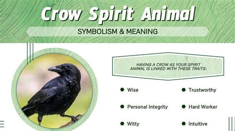 The Spiritual Meaning Of Seeing A Crow Unraveling The Mystical