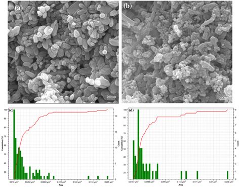 Sem Images A And B And Particle Size C And D Of Pure Zno A C And 15 Download Scientific