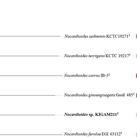 Whole Genome Based Phylogenomic Tree Constructed By Type Strain Genome