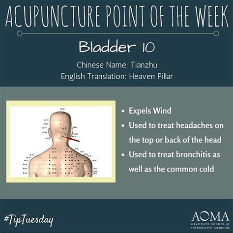 728 best images about Acupuncture Medicine on Pinterest | Pressure ...