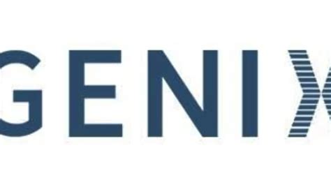 genix technologies  linkedin genix team outing