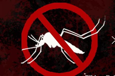 Waspada Demam Berdarah Dengue Yuk Ketahui Beberapa Hal Tentang Dbd