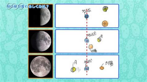 月の形が変わるしくみは？ ふしぎエンドレス 理科6年 Nhk For School