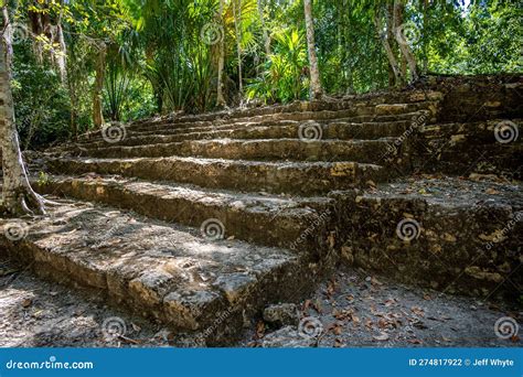 Ancient Mayan Ruins of Chacchoben, Mexico Stock Photo - Image of temple, maja: 274817922